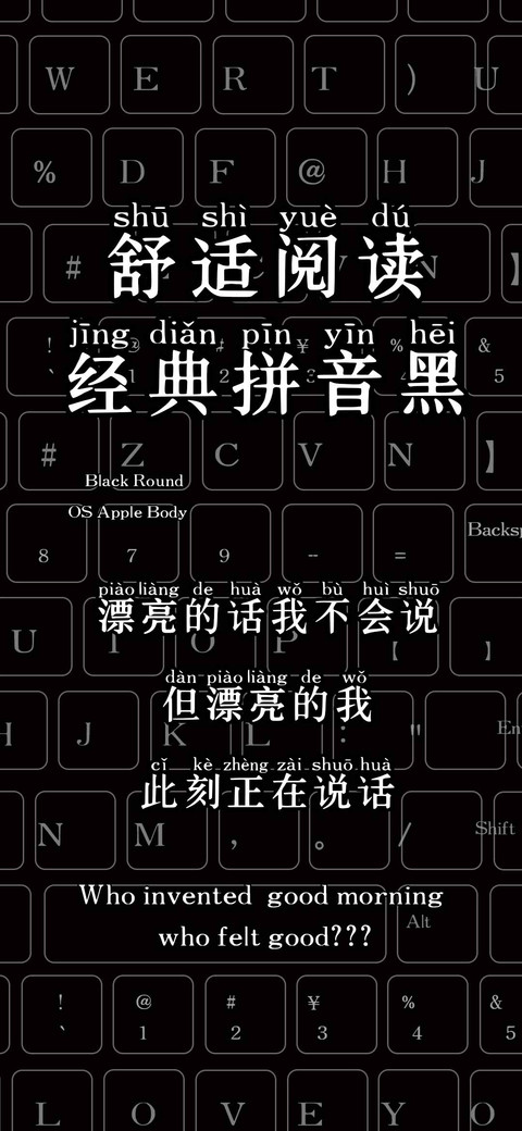舒适阅读经典拼音黑 preview