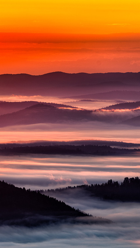 Landscape preview