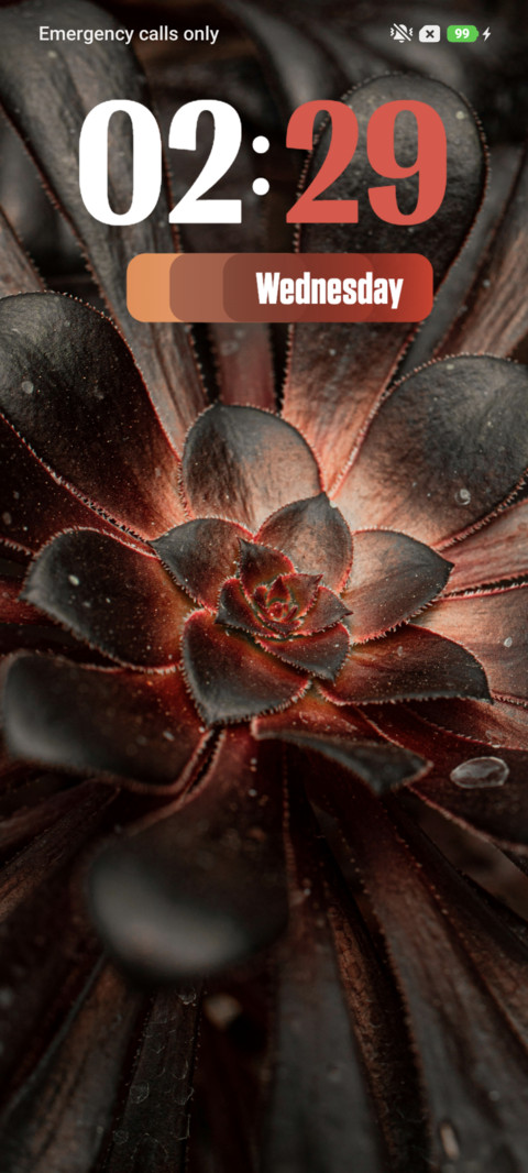 Petals preview