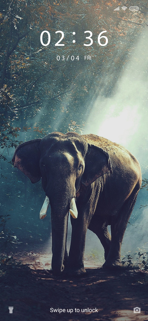 Elephant Pride preview