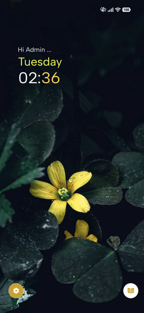 Rainy Clover preview