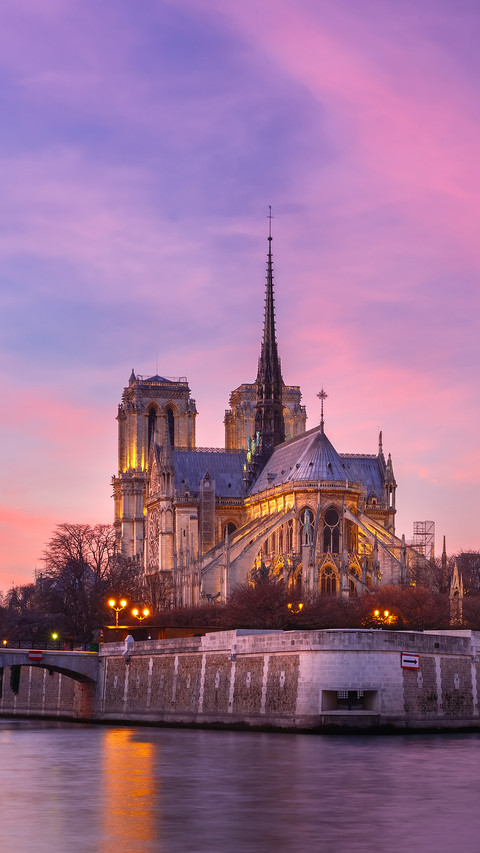 The historical value of Notre Dame de Paris 80 preview