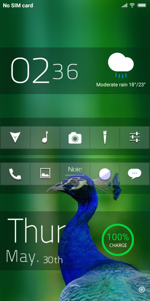National Bird_DWM19 preview