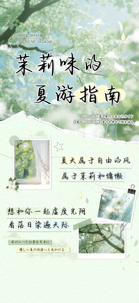 茉莉味的夏游指南 preview