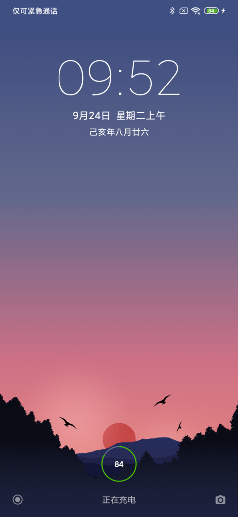 24H壁纸—Forest preview