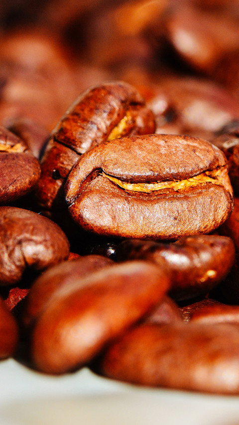 coffee (6) preview