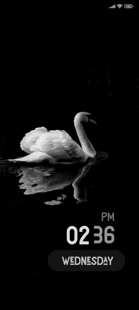 Dark Swan preview