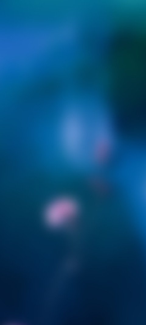 雨寂 preview
