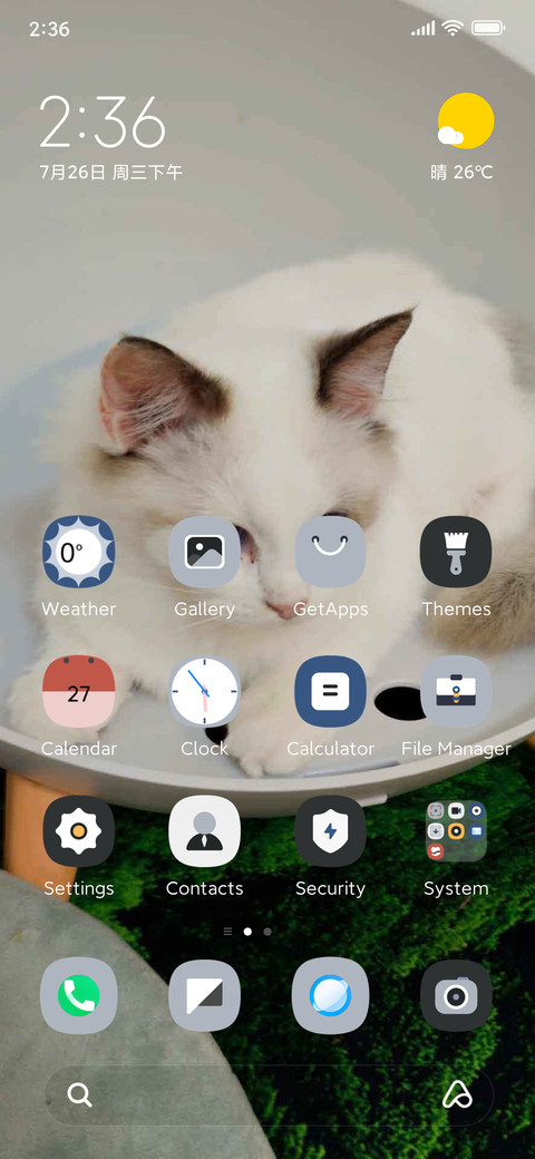 Lazy Cat preview
