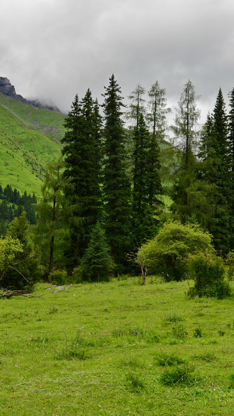 A cool walk in the green fields of shuangqiao valley preview