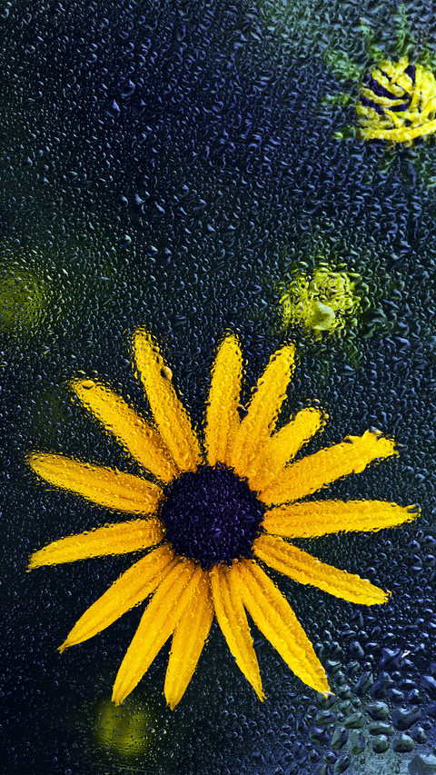 How to avoid making vulgar flower works 2 preview