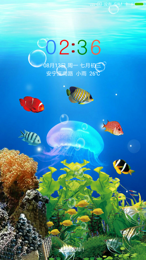 海底世界之水母 preview