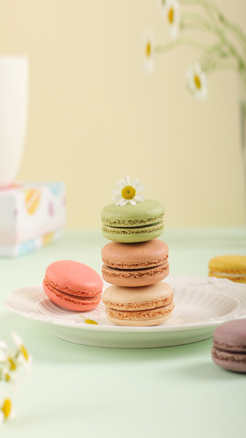 Multi Flavor Macaron on Cardboard preview