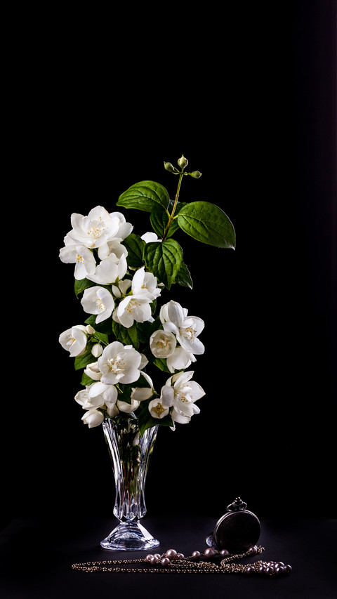 Still Life with Jasmine flowers in a vase preview