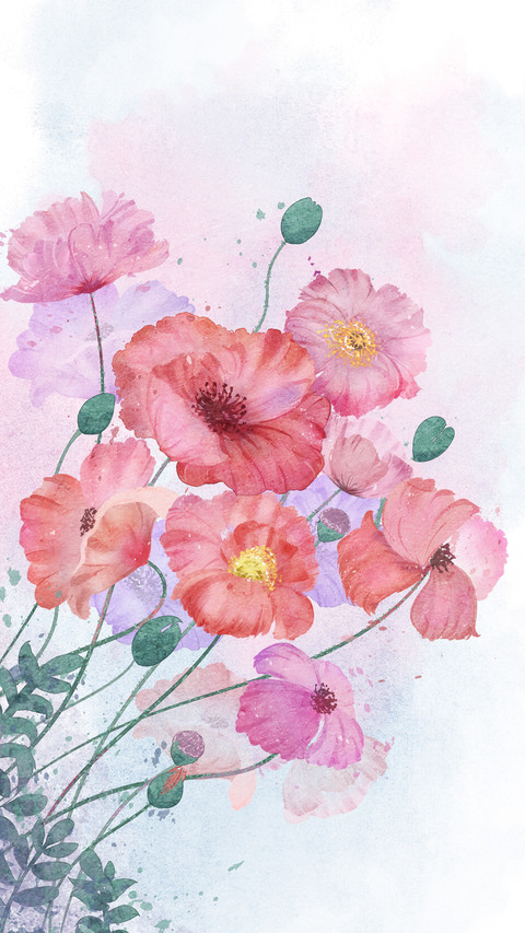诗词赏花 花语知多少 preview