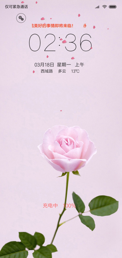 玫瑰花恋 preview