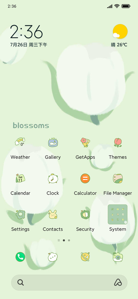 Colorful tulips preview