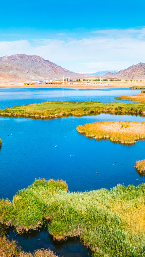 Lake reed wetland preview