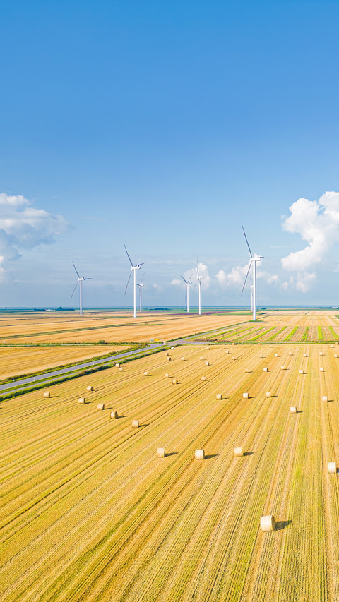 Harvested grain field in North Friesland preview