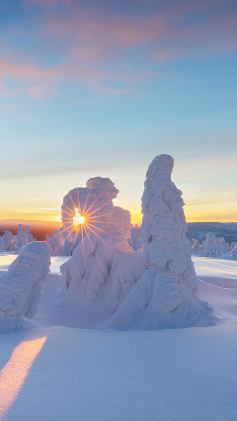 Beautiful Winter Wonderland Scenery preview