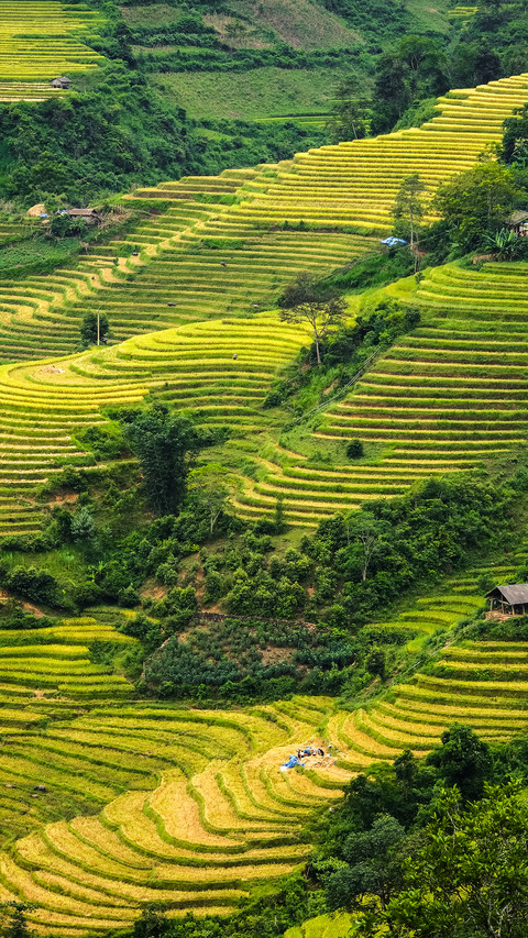 Terraces in Yunnan preview