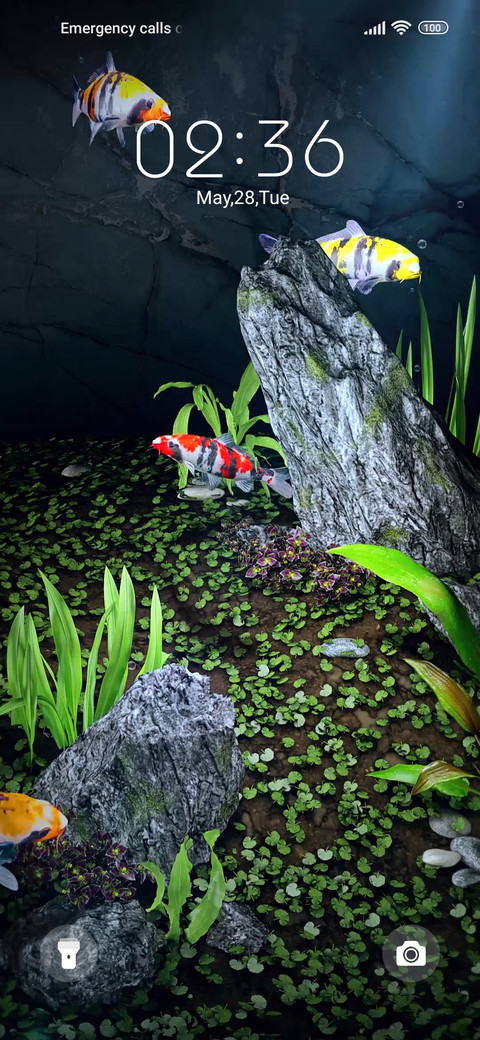 Koi Aquarium preview