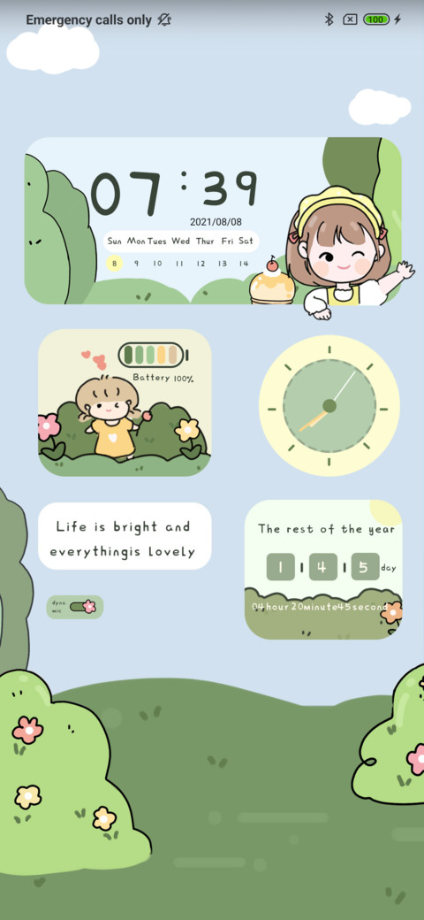 Hello life widget preview