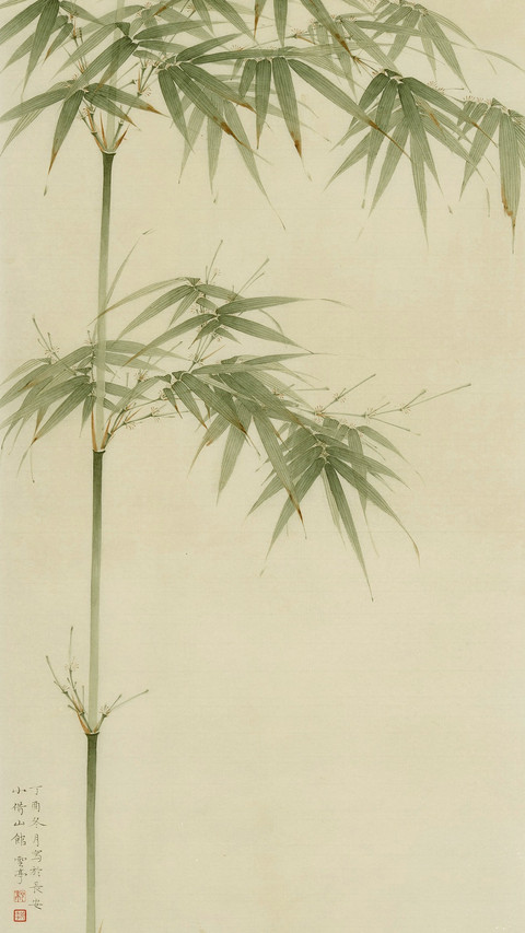 梅兰竹菊 preview