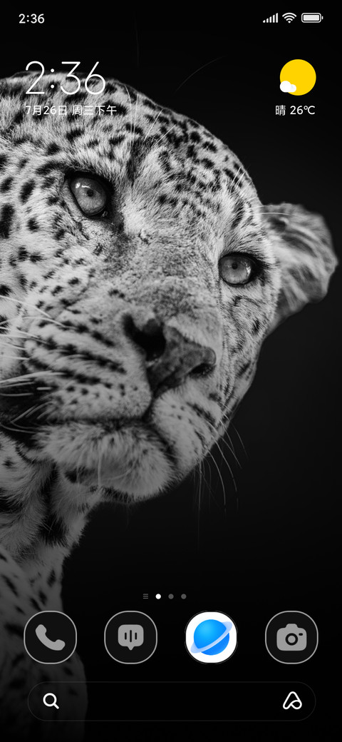 Dark Spottedcat preview