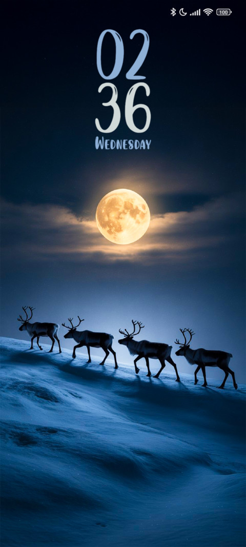 Moonlight Reinders preview