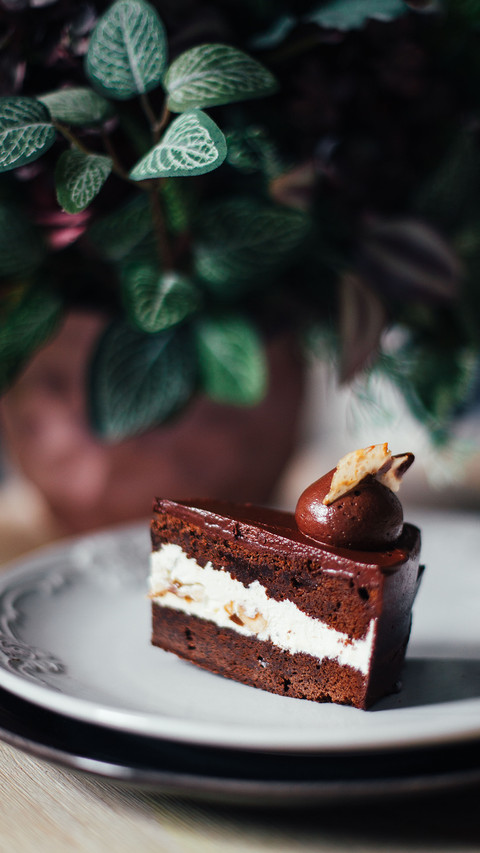 international_food (1) preview