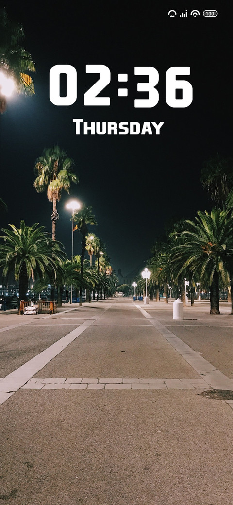 Palm tree preview