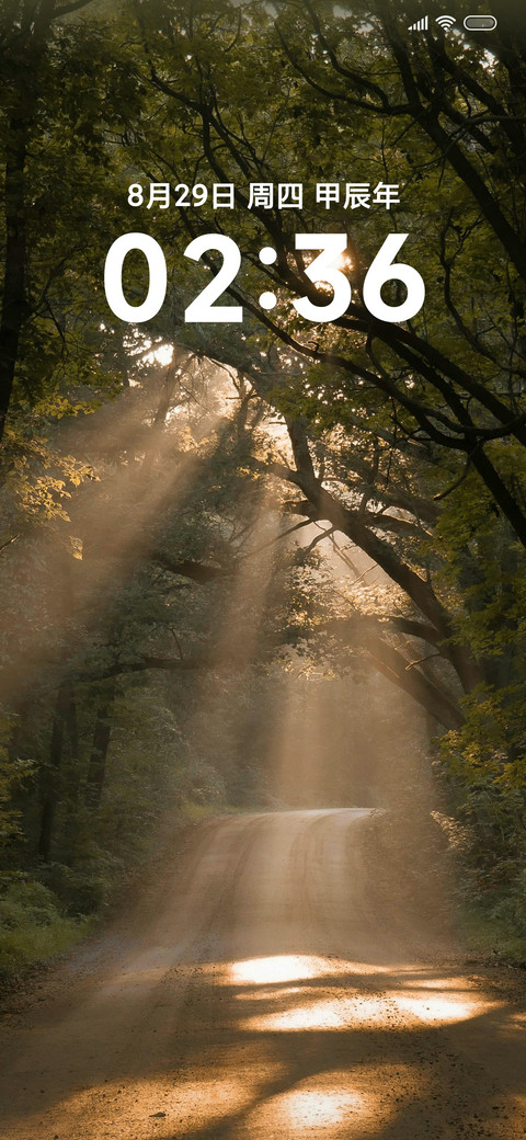 简约树林 森山 preview
