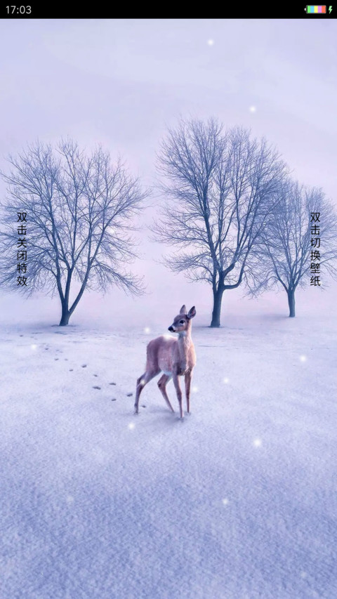 冬日印记 preview