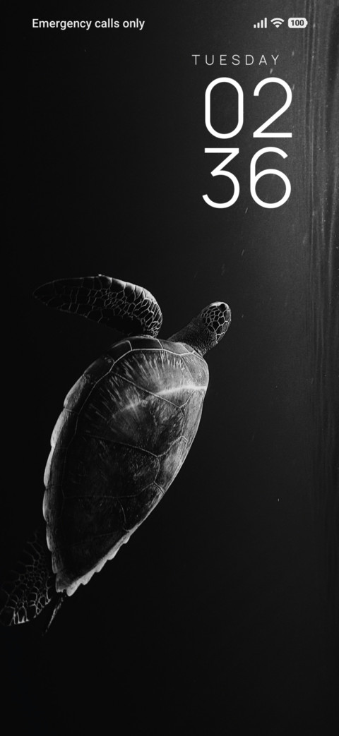 Deep Turtle preview