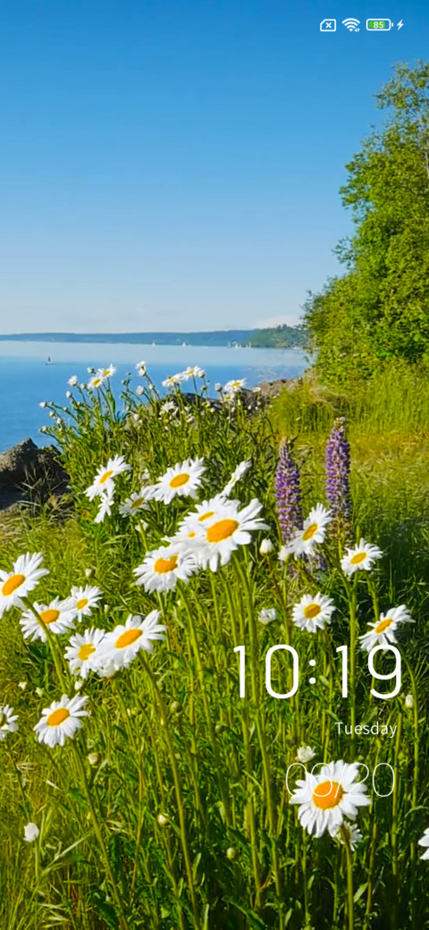 Seaside flower preview
