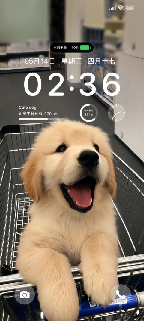 可爱小狗的世界 preview