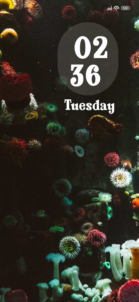 Aquarium preview