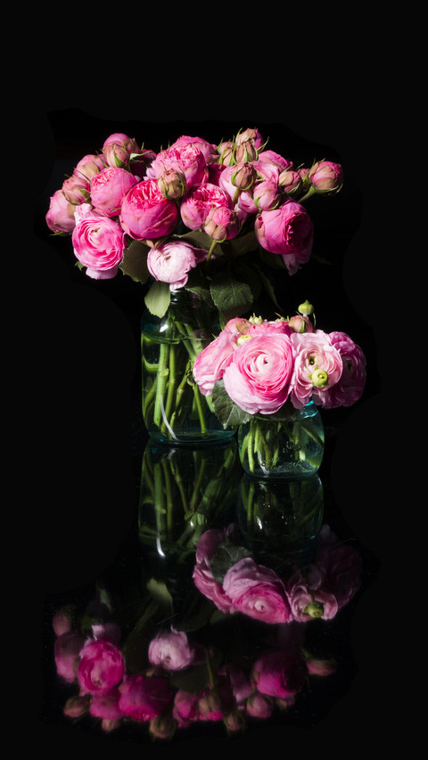 Roses You May Not Know 7 preview