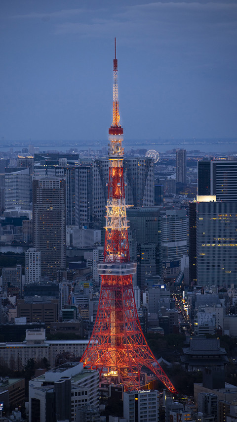 Famous tourist destination Tokyo Tower 8 preview