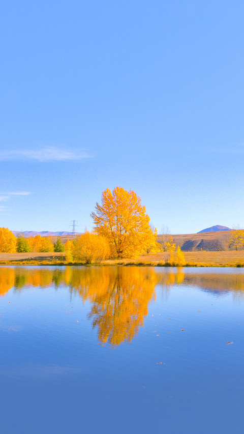Reflection during Fall Autumn from the lake preview