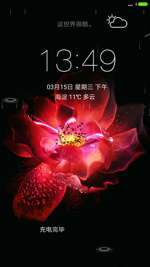 夜玫瑰 preview