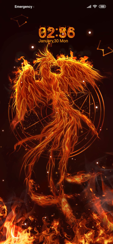 Phoenix in Fire preview