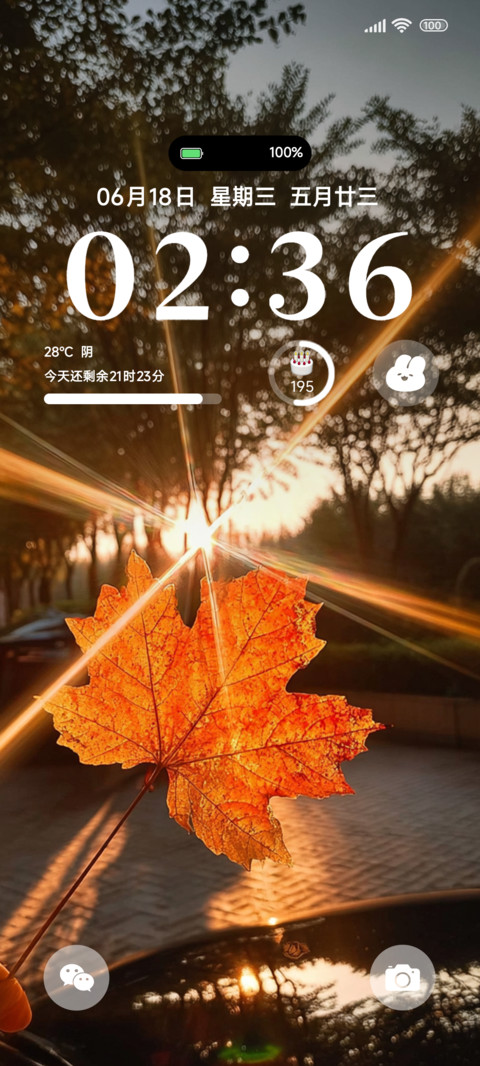枫的思念ins preview