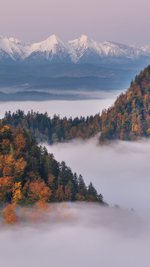 Landscape preview