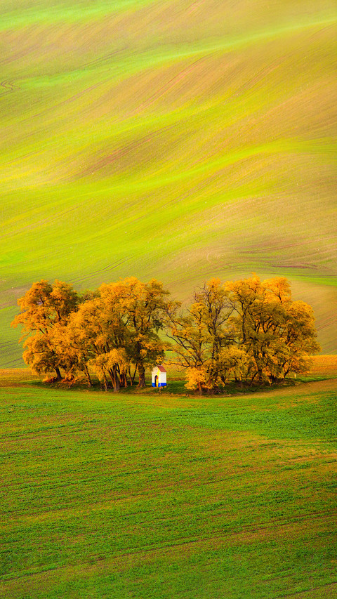 The Chapel St. Barbara on South Moravian Fields preview