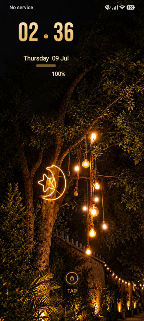 Moonlit Garden preview