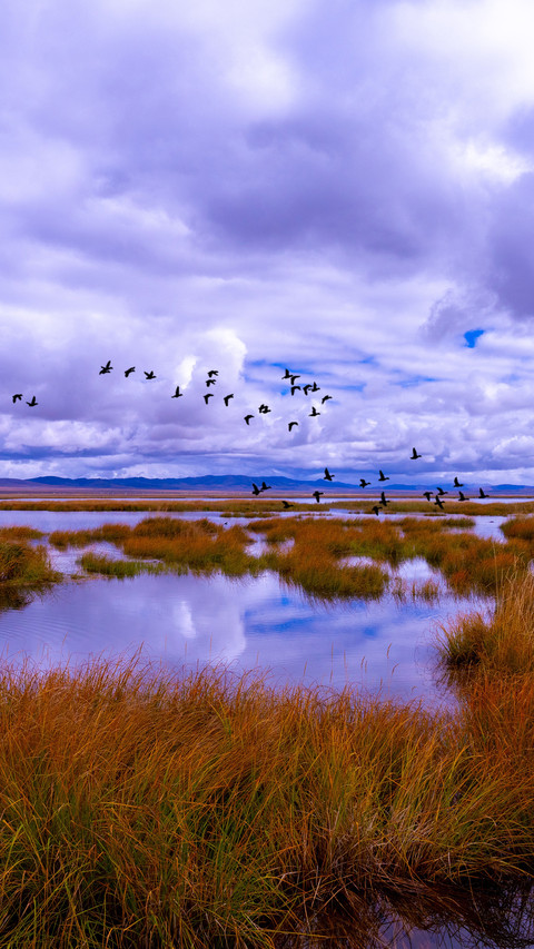 Huahu wetland preview