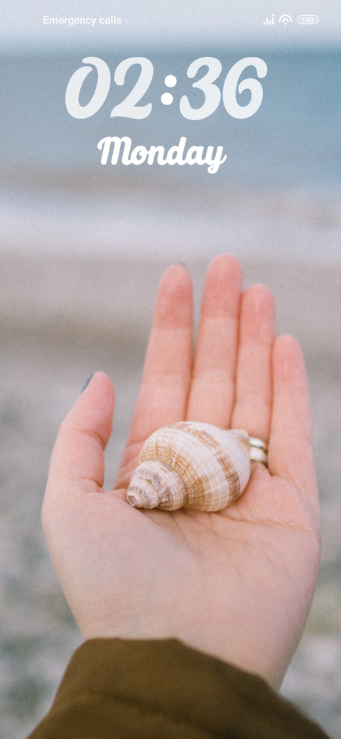 Shell preview