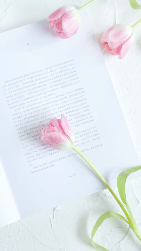 Flower (3) preview